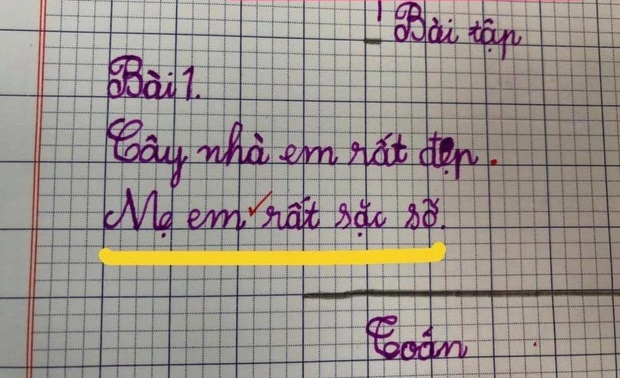 Học sinh đặt câu với từ phức khiến cô giáo tá hỏa: Mới chút tuổi mà đã triết lý thế này! - Ảnh 4.