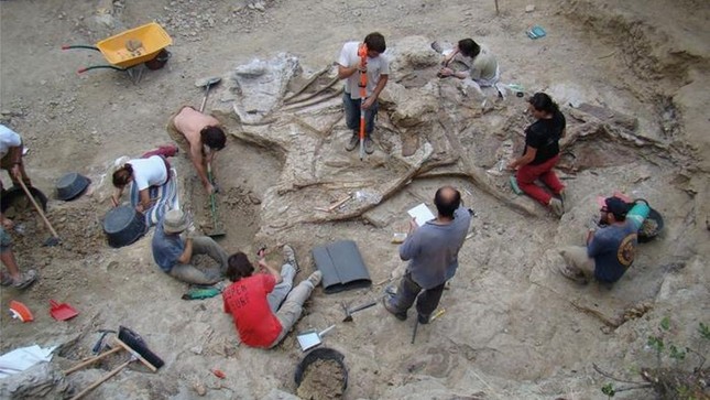 Tìm thấy hóa thạch khủng long cổ dài khổng lồ chưa từng thấy - Ảnh 3.