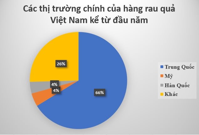 Hàng cây nhà lá vườn của Việt Nam được Trung Quốc săn lùng gấp 3 lần kể từ đầu năm: Thu về hàng tỷ USD, đi đến đâu được ưa chuộng đến đó - Ảnh 3.
