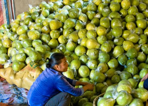 Được người Mỹ ưa chuộng hơn hàng made in China, loại quả bá vương của Việt Nam làm mưa làm gió xứ cờ hoa, thu về hàng chục triệu USD - Ảnh 1.