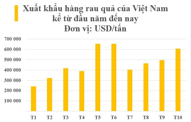 Hàng cây nhà lá vườn của Việt Nam được Trung Quốc săn lùng gấp 3 lần kể từ đầu năm: Thu về hàng tỷ USD, đi đến đâu được ưa chuộng đến đó - Ảnh 2.