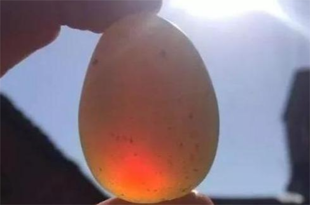 Lão nông vô tình đào được 2 “quả trứng máu”: Chuyên gia sửng sốt, ra giá 2,6 tỷ đồng mua lại liền bị từ chối “tôi không cần tiền” - Ảnh 3. Lão nông vô tình đào được 2 “quả trứng máu”: Chuyên gia sửng sốt, ra giá 2,6 tỷ đồng mua lại liền bị từ chối “tôi không cần tiền” - Ảnh 3.