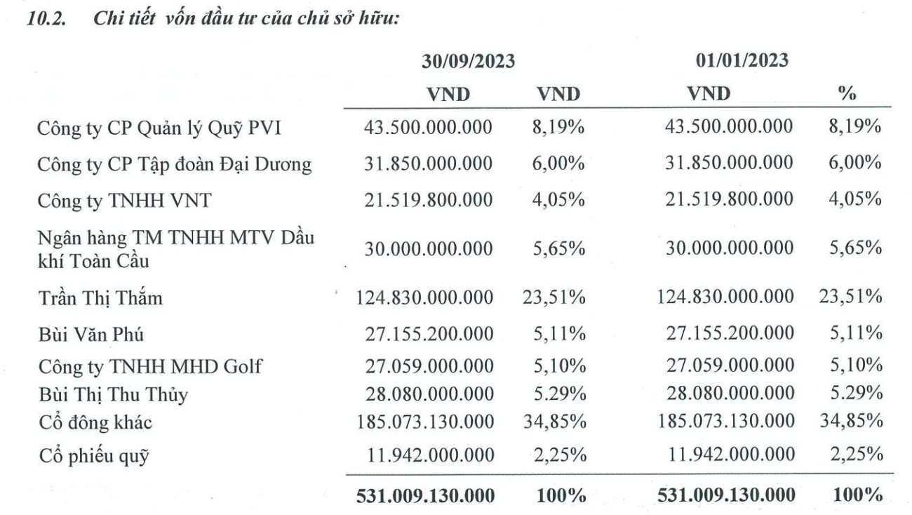 Một công ty bất động sản trên sàn chứng khoán phải ngừng kinh doanh vì hết tiền: Vỏn vẹn 5 nhân sự, hai năm ròng trắng doanh thu, đầu tư cổ phiếu lỗ gần 80%  - Ảnh 1.