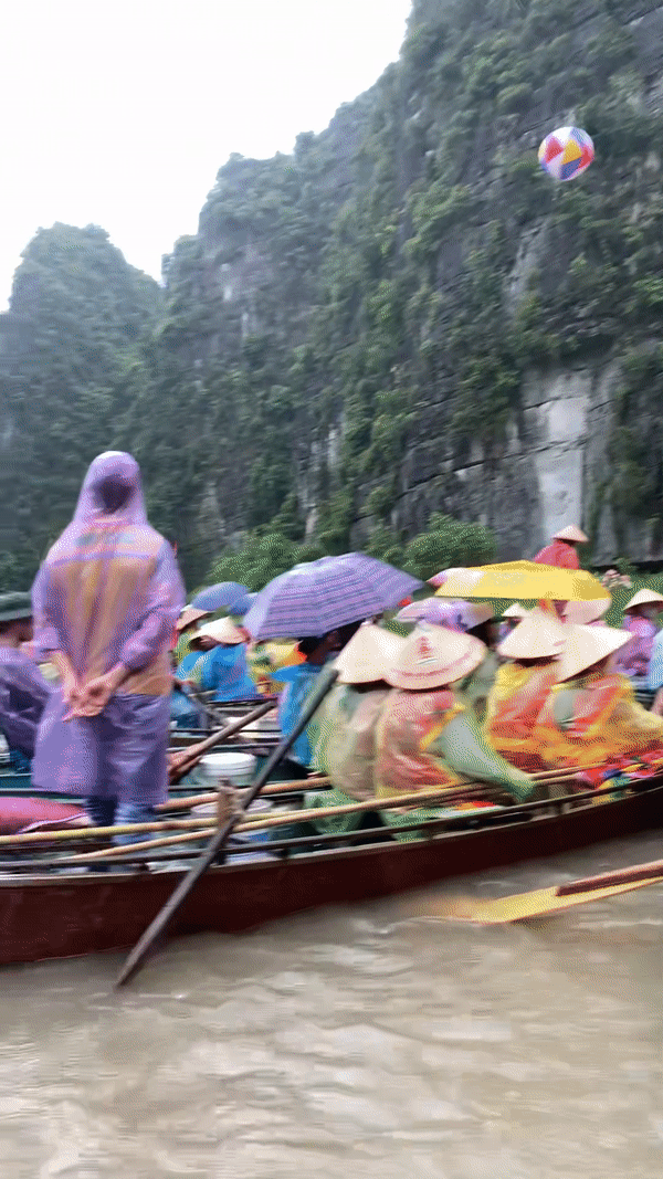 Đi Ninh Bình mùa mưa, du khách gặp cảnh tượng dở khóc dở cười nhưng cũng rất thú vị khi đi thuyền trên sông - Ảnh 4.