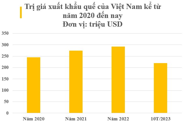 Việt Nam sở hữu báu vật nông sản cực hiếm trên thế giới: Xuất khẩu 35% thị phần toàn cầu, thu về trăm triệu USD trong 10 tháng đầu năm - Ảnh 2.