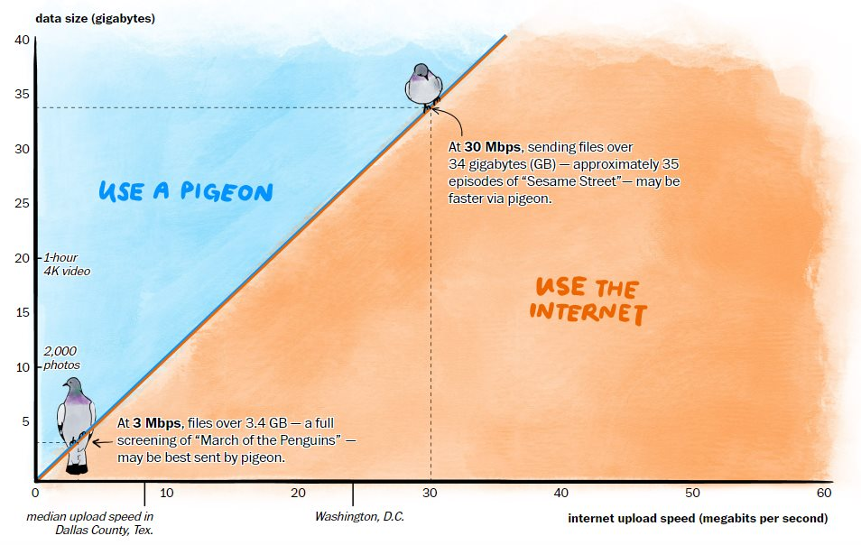 Khó tin: Tốc độ Internet ở vùng nông thôn Mỹ còn chậm hơn cả bồ câu đưa thư - Ảnh 1.