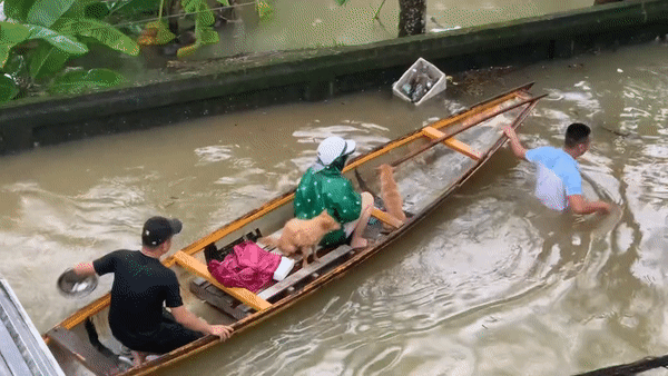 3 triệu người xem clip giải cứu 2 chú cún đang lạnh cóng trong mưa lụt ở Huế, cái kết khiến netizen vỡ òa - Ảnh 4.