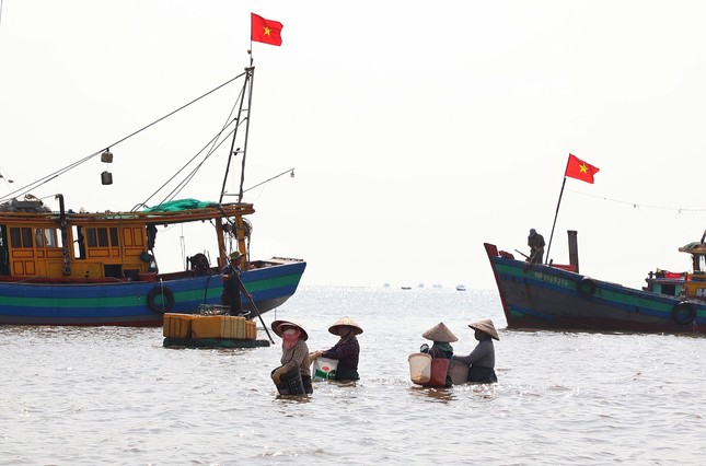 Tấp nập mua bán ở chợ cá Nam Định lúc sáng sớm - Ảnh 2.