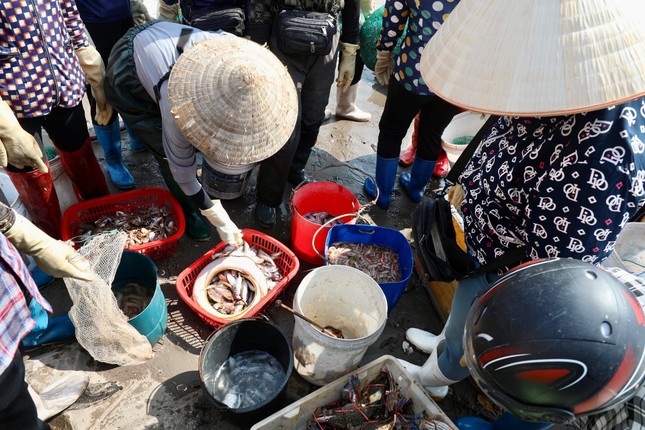 Tấp nập mua bán ở chợ cá Nam Định lúc sáng sớm - Ảnh 4.