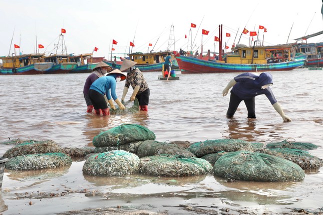 Tấp nập mua bán ở chợ cá Nam Định lúc sáng sớm - Ảnh 3.