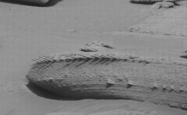 Tàu thám hiểm Curiosity của NASA phát hiện tảng đá giống hóa thạch xương trên bề mặt Sao Hỏa - Ảnh 1.