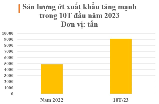 Loại quả ‘vàng treo trên cây’ của Việt Nam được Trung Quốc và Lào ráo riết săn lùng: Xuất khẩu tăng mạnh 120% trong 10 tháng, nước ta có sản lượng hàng chục nghìn tấn mỗi năm - Ảnh 2.