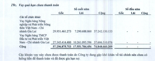 Hoàng Kim Tây Nguyên - Đại gia phố núi từng là thương hiệu khách sạn, tiệc cưới uy tín ở Gia Lai sắp bị ngân hàng bán đấu giá tài sản - Ảnh 5.