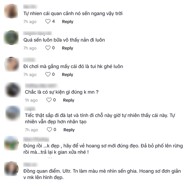  Xôn xao thông tin đồi cỏ hồng gần Đà Lạt xuất hiện hàng loạt vật thể lạ gây tranh cãi - Ảnh 3.