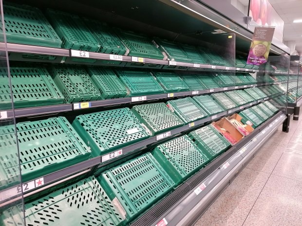 Cảnh tượng chưa từng thấy trong siêu thị ở Anh, lễ Giáng sinh của người dân nước này có nguy cơ bị hủy hoại vì thiếu thứ quan trọng - Ảnh 1.