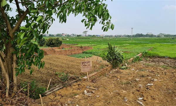 Chuyên gia dự báo: Đất nhà vườn còn “đóng băng” do xu hướng “bỏ phố về quê” dần “lụi tàn” - Ảnh 1.