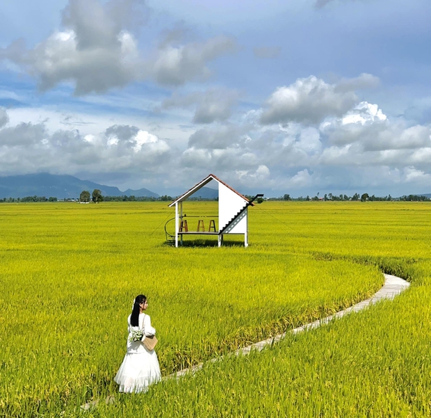 Hai quán cà phê nằm giữa đồng ruộng ở miền Tây, mùa nước nổi cho du khách chèo xuồng trải nghiệm - Ảnh 1.