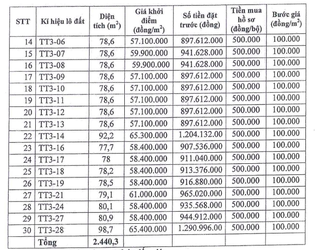 Hết thời sốt nóng, đất nền ven Hà Nội đấu giá chỉ bằng giá khởi điểm - Ảnh 2.