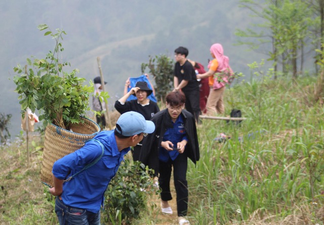 Chàng trai vừa làm BTV xoàng ở Hà Nội vừa trồng triệu cây xanh: Bố mắng sa sả; nhìn cây mà khóc! - Ảnh 10.
