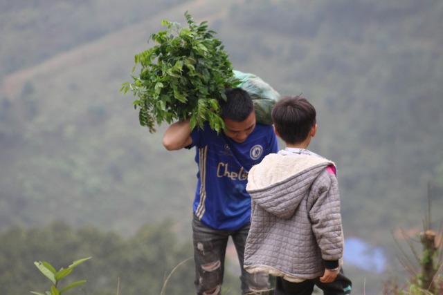 Chàng trai vừa làm BTV xoàng ở Hà Nội vừa trồng triệu cây xanh: Bố mắng sa sả; nhìn cây mà khóc! - Ảnh 9.