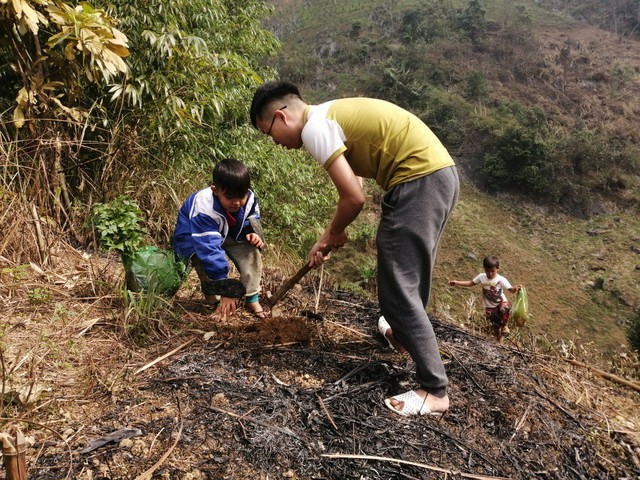 Chàng trai vừa làm BTV xoàng ở Hà Nội vừa trồng triệu cây xanh: Bố mắng sa sả; nhìn cây mà khóc! - Ảnh 2.
