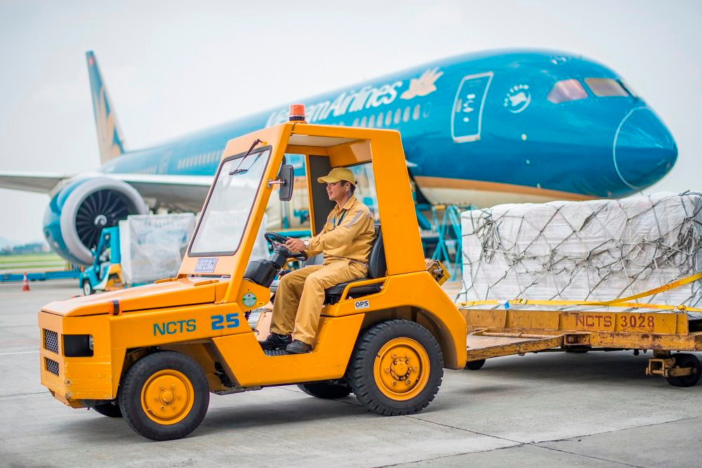 Nội Bài Cargo: 55% tài sản là tiền gửi, phần lớn lợi nhuận được chia cổ tức - Ảnh 1.