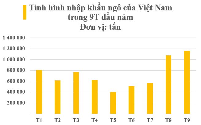 Giá rẻ hấp dẫn, báu vật quốc gia của Ấn Độ ồ ạt về Việt Nam trong 9 tháng đầu năm, là cứu tinh quan trọng cho nhiều mặt hàng xuất khẩu tỷ USD - Ảnh 2.