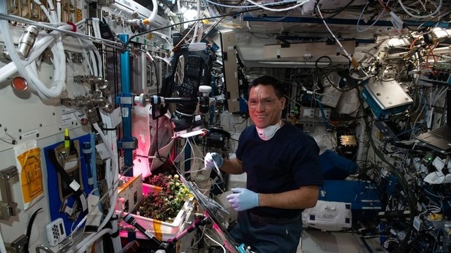 Tìm thấy quả cà chua mất tích suốt 8 tháng trên trạm vũ trụ ISS - Ảnh 1.