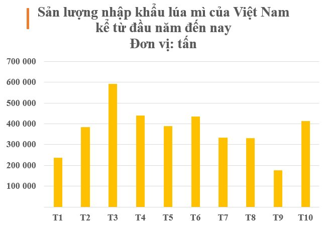 Một loại nông sản từ Canada đổ bộ Việt Nam với giá rẻ bất ngờ: Nhập khẩu tăng hơn 2.000% trong 10 tháng đầu năm, chỉ có 12 quốc gia đủ hàng để xuất khẩu - Ảnh 3.