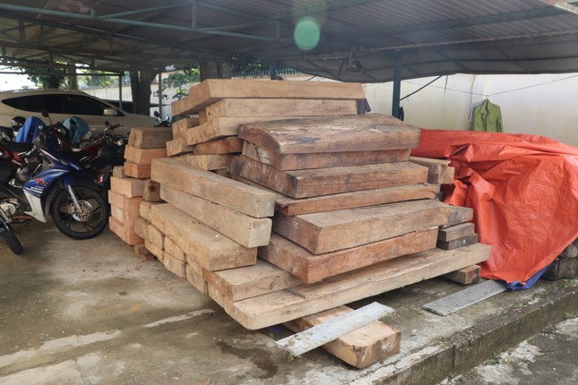 Tin mới vụ gỗ lậu trên đất của Trưởng phòng Nội vụ ở Quảng Nam - Ảnh 3. Tin mới vụ gỗ lậu trên đất của Trưởng phòng Nội vụ ở Quảng Nam - Ảnh 3.