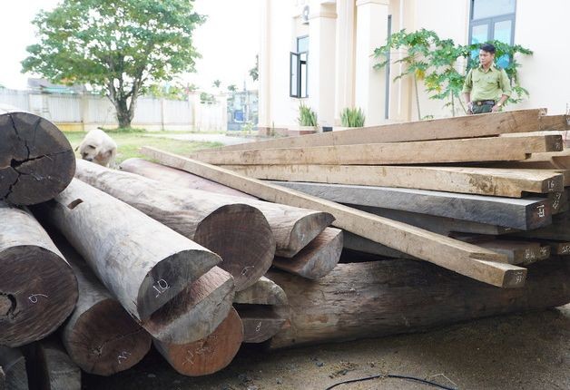Tin mới vụ gỗ lậu trên đất của Trưởng phòng Nội vụ ở Quảng Nam - Ảnh 1. Tin mới vụ gỗ lậu trên đất của Trưởng phòng Nội vụ ở Quảng Nam - Ảnh 1.