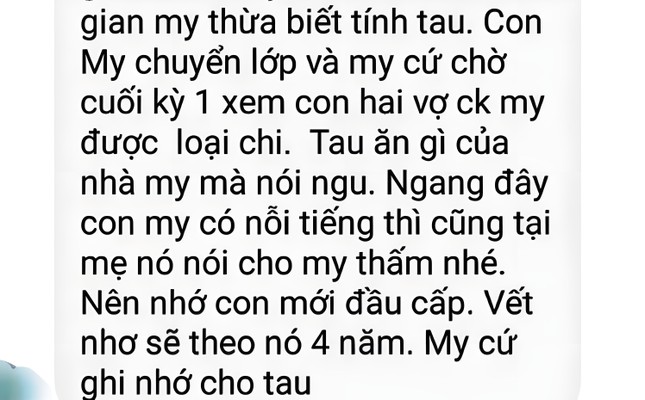 Nữ giáo viên phải giải trình, mất chức tổ trưởng sau tố cáo của phụ huynh - Ảnh 2.