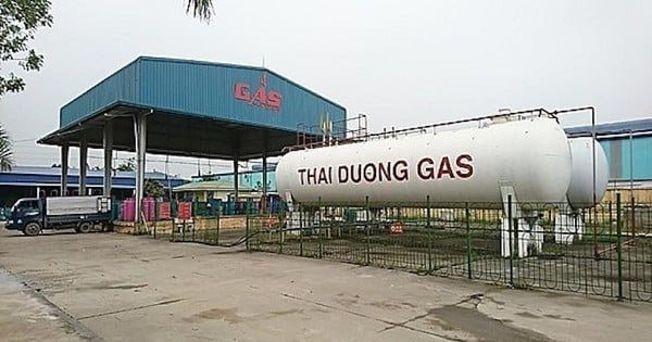Lợi nhuận 9 tháng giảm 74%, một công ty gas chiếm 80% thị phần Bắc Giang sắp mang tiền sang Lào nuôi bò - Ảnh 1.