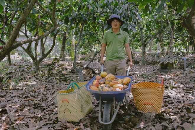 Từ cây cacao đến socola chỉ trong 60 ngày - Hành trình kỳ diệu của dòng socola trung hòa carbon tại Việt Nam - Ảnh 7.