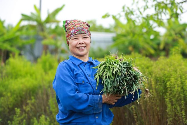  Từ sữa Ông Linh đến dự án tiên phong thúc đẩy hoạt động sản xuất nông nghiệp thân thiện với môi trường  - Ảnh 3.