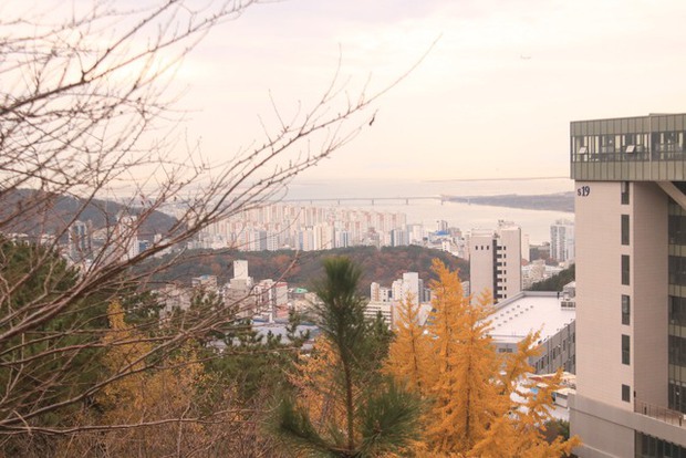 Đại học tư thục tốt nhất nhì Hàn Quốc: Ngôi trường trên núi đẹp như mơ, nhiều thành tích và không chỉ có thế! - Ảnh 7.