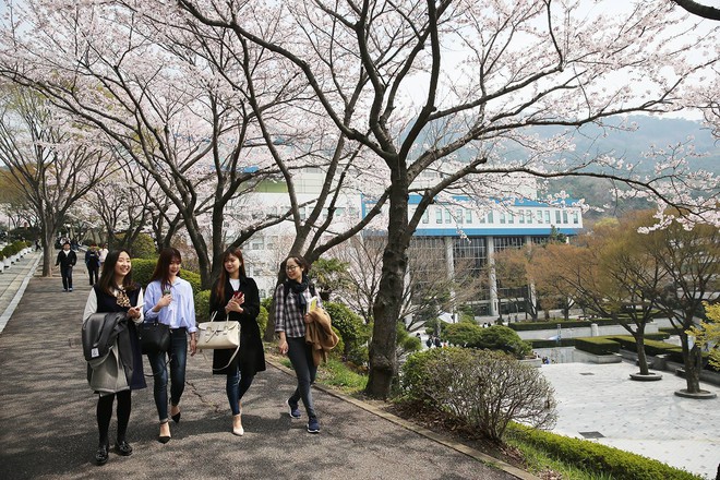 Đại học tư thục tốt nhất nhì Hàn Quốc: Ngôi trường trên núi đẹp như mơ, nhiều thành tích và không chỉ có thế! - Ảnh 2.