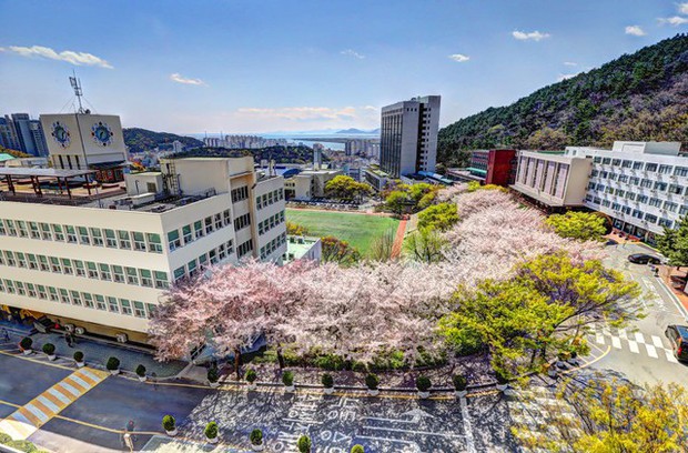 Đại học tư thục tốt nhất nhì Hàn Quốc: Ngôi trường trên núi đẹp như mơ, nhiều thành tích và không chỉ có thế! - Ảnh 1.