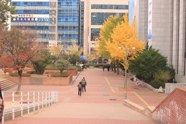 Đại học tư thục tốt nhất nhì Hàn Quốc: Ngôi trường trên núi đẹp như mơ, nhiều thành tích và không chỉ có thế! - Ảnh 12.
