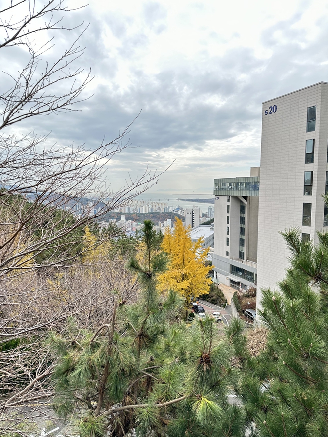 Đại học tư thục tốt nhất nhì Hàn Quốc: Ngôi trường trên núi đẹp như mơ, nhiều thành tích và không chỉ có thế! - Ảnh 11.