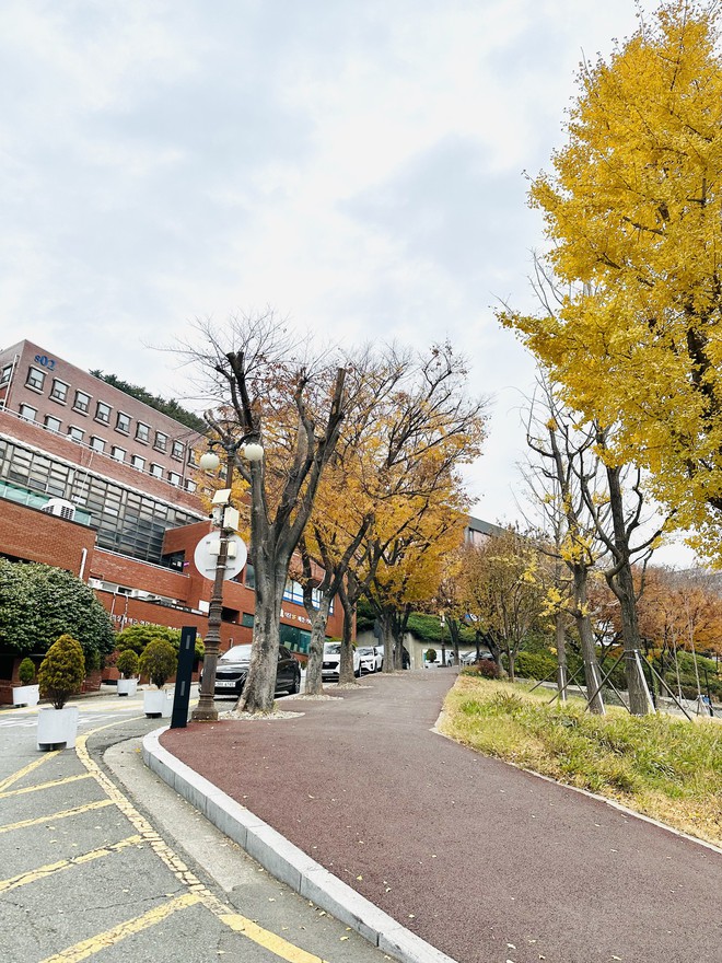 Đại học tư thục tốt nhất nhì Hàn Quốc: Ngôi trường trên núi đẹp như mơ, nhiều thành tích và không chỉ có thế! - Ảnh 8.