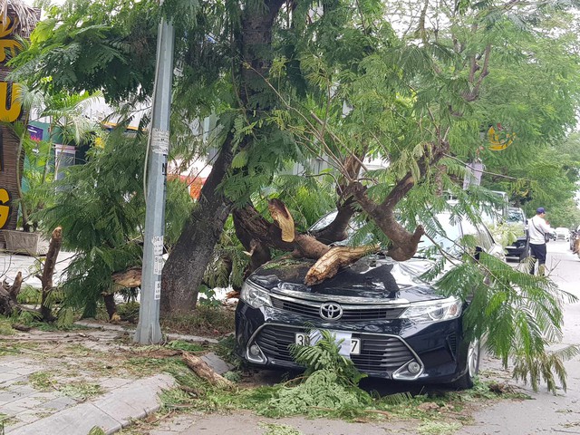 Gió mùa đông bắc mạnh làm cây gãy đổ đè bẹp ôtô Camry 2.5Q - Ảnh 1.