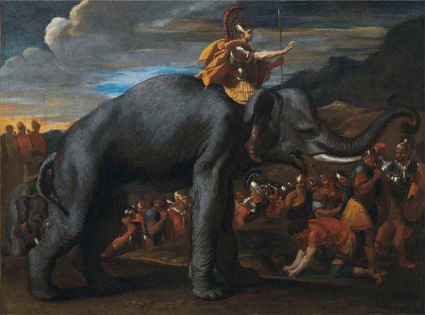 Nguồn gốc những chú voi bí ẩn của tướng Hannibal - Ảnh 3.