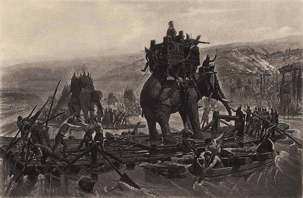 Nguồn gốc những chú voi bí ẩn của tướng Hannibal - Ảnh 2.