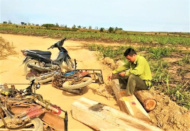 Vụ Quyền trưởng trạm kiểm lâm tử vong với 14 vết đạn: Hé lộ góc khuất giữ rừng - Ảnh 1.