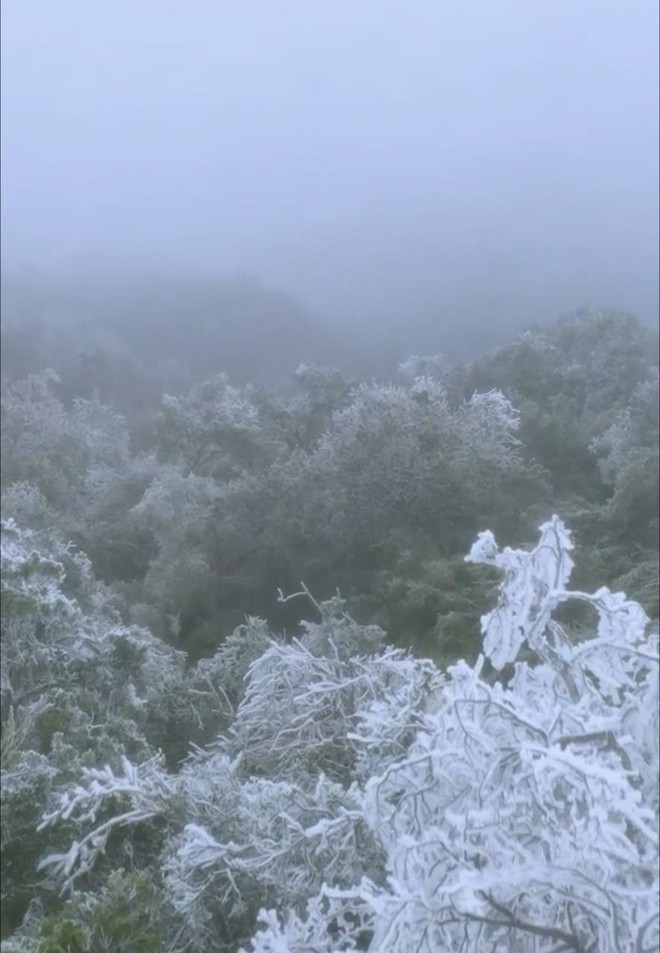 Sững sờ cảnh tuyết phủ trắng xóa khắp vùng núi phía Bắc, hội cuồng chân ầm ầm rủ nhau đi ngắm - Ảnh 13.