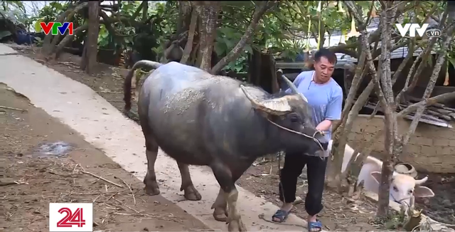 Những bất thường ở trường vùng cao: Mập mờ cả tiền hỗ trợ sách vở - Ảnh 4.