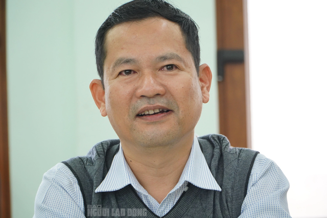 Chủ tịch huyện lên tiếng vụ gỗ lậu trên đất trưởng phòng nội vụ ở Quảng Nam - Ảnh 1.