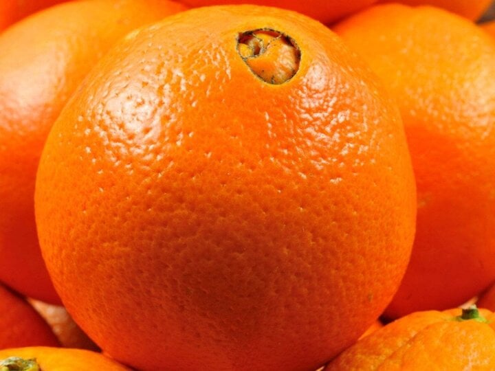 Khi mua cam, nên chọn quả cam đực hay quả cam cái?- Ảnh 2.