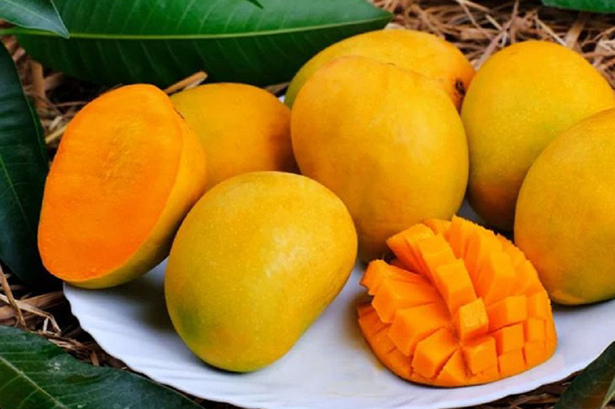 Một loại quả ngọt lịm nhưng có chỉ số đường huyết thấp, là “thuốc” chống ung thư tự nhiên: Luôn sẵn ở chợ Việt- Ảnh 1.